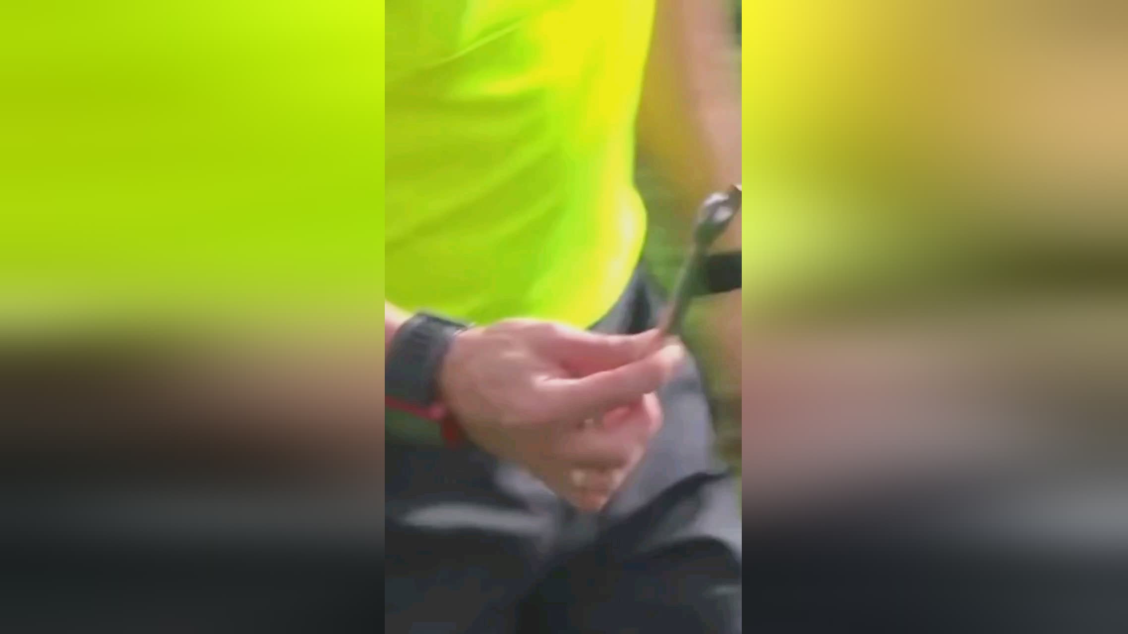 速反弹的重