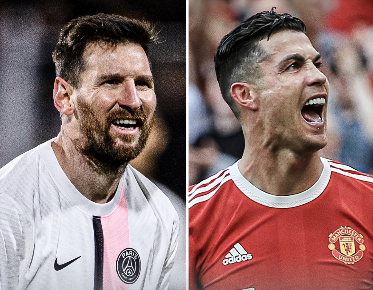 粉丝互动 粉丝互动