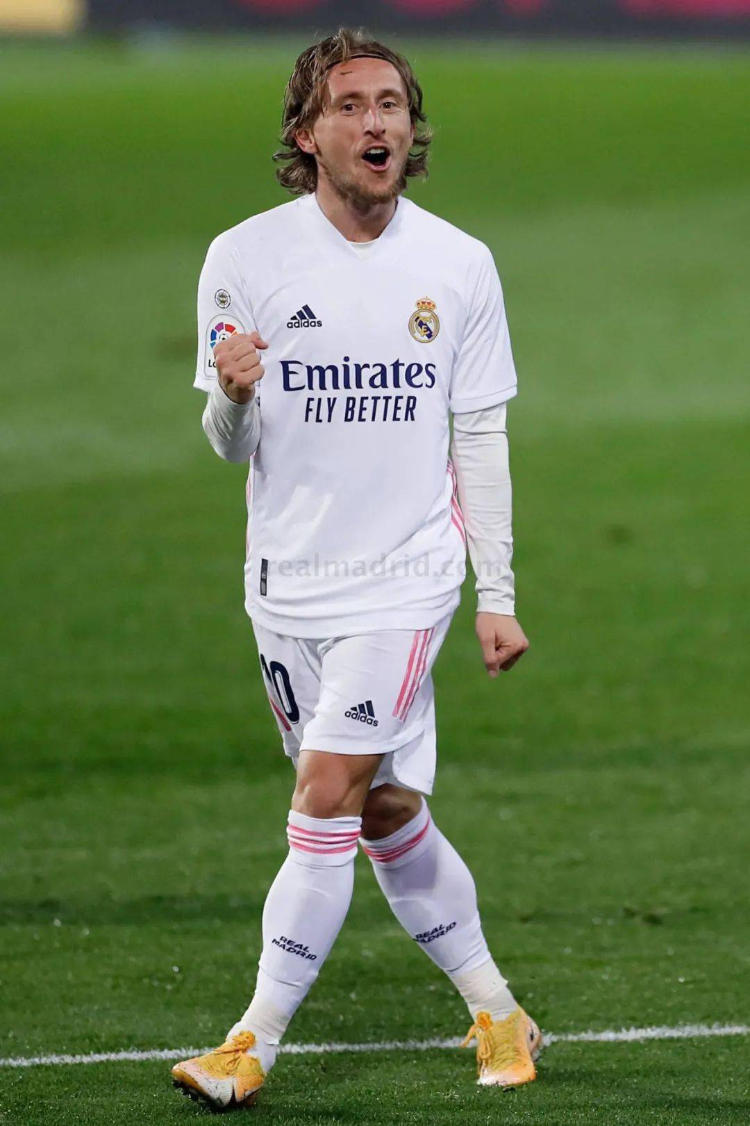 还趁机将分 还趁机将分